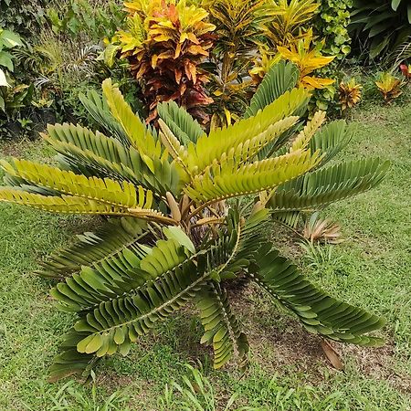 Bencastle Villa Gros Islet Exterior foto